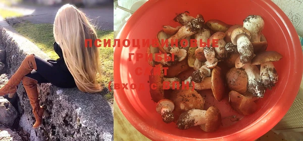 мескалин Аркадак