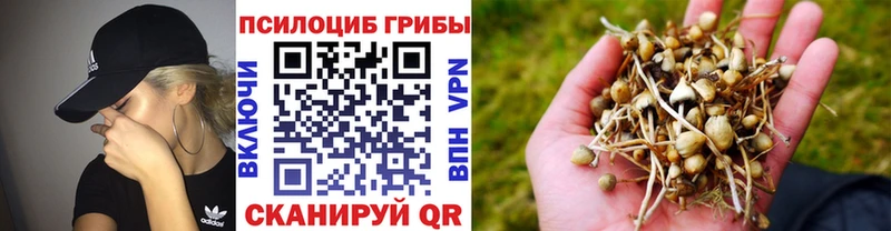 Псилоцибиновые грибы MAGIC MUSHROOMS  Санкт-Петербург 